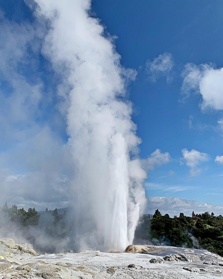 Te Puia là điểm tham quan nổi tiếng nhất của du lịch Rotorua