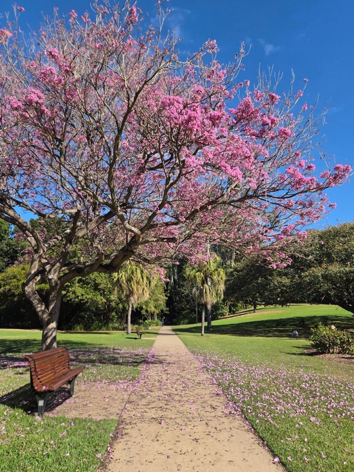 Tận hưởng nhịp sống chậm rãi thư thái tại City Botanic Gardens. Nguồn: misselangelina
