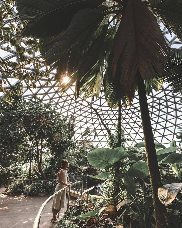Tham quan mái vòm nhiệt đới độc đáo tại Brisbane Botanic Gardens. Nguồn: discoverbrisbane