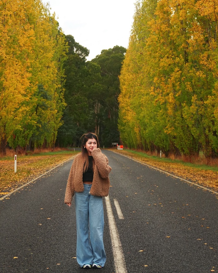 Vẻ đẹp lãng mạn của thành phố Melbourne trong những ngày thu mát. Nguồn: thisis.poy