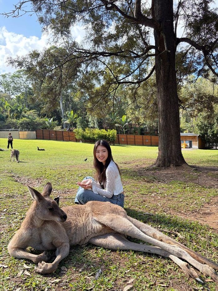Quan sát những chú kangaroo sinh sống trong môi trường tự nhiên. Nguồn: annie_1116