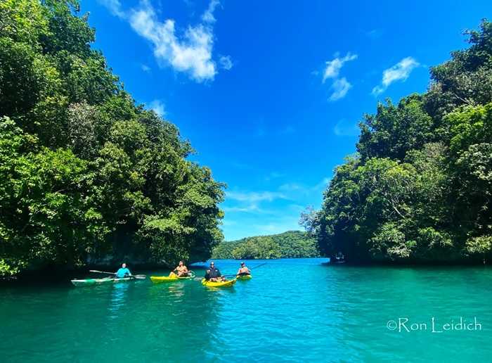 Trải nghiệm chèo kayak giữa những đảo đá vôi phủ xanh mướt. Nguồn: paddlingpalau