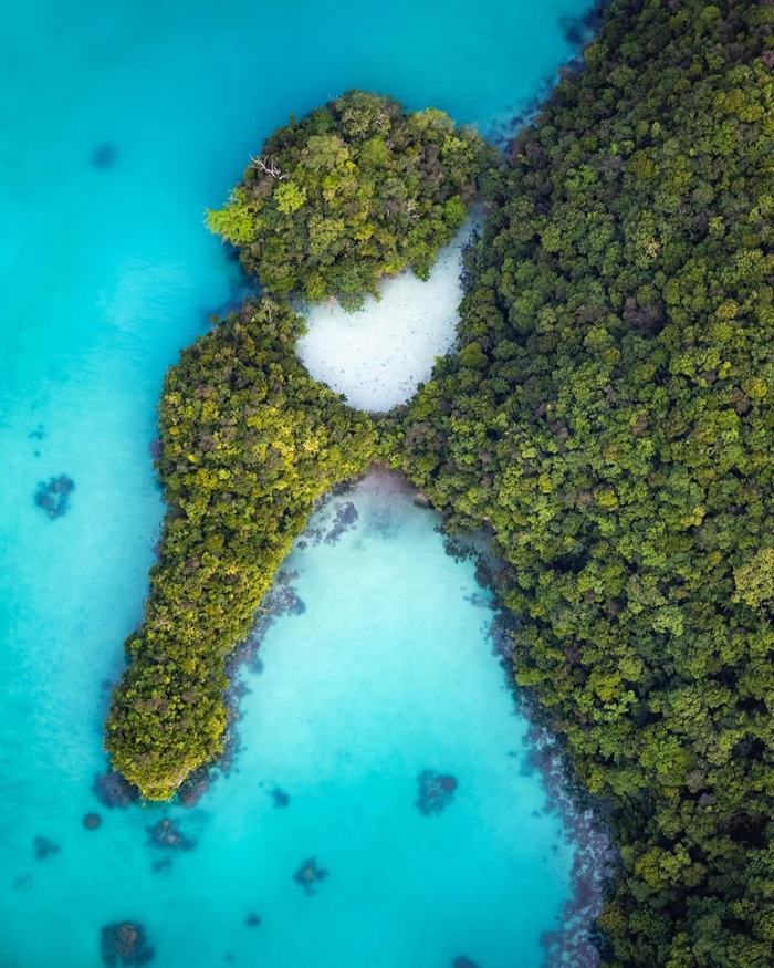 Trải nghiệm tắm bùn khoáng trắng xám tại đầm Milky Way Lagoon. Nguồn: palauvisitors