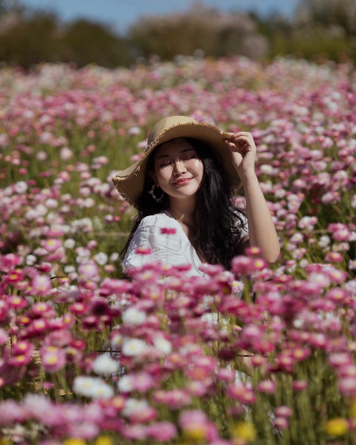 Đắm mình vào không gian thiên nhiên thanh bình tại Vườn bách thảo. Nguồn: carrie_solojourney